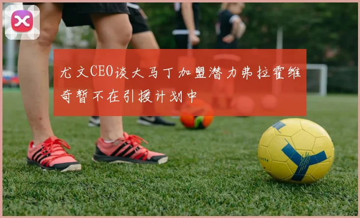 尤文CEO谈大马丁加盟潜力弗拉霍维奇暂不在引援计划中